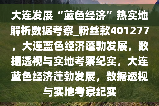 大连发展“蓝色经济”热实地解析数据考察_粉丝款401277，大连蓝色经济蓬勃发展，数据透视与实地考察纪实，大连蓝色经济蓬勃发展，数据透视与实地考察纪实