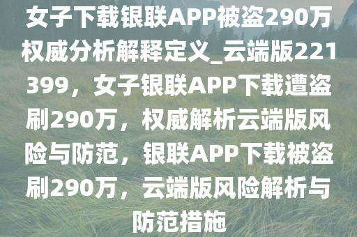 女子下载银联APP被盗290万权威分析解释定义_云端版221399，女子银联APP下载遭盗刷290万，权威解析云端版风险与防范，银联APP下载被盗刷290万，云端版风险解析与防范措施