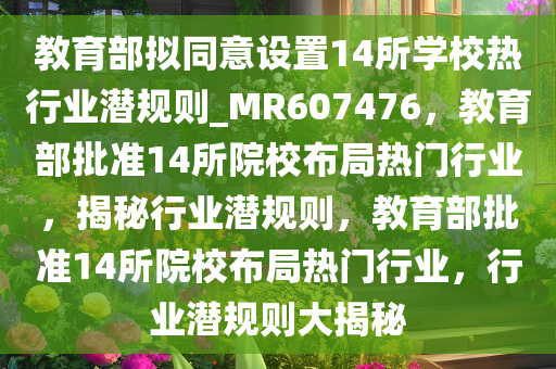 教育部拟同意设置14所学校热行业潜规则_MR607476，教育部批准14所院校布局热门行业，揭秘行业潜规则，教育部批准14所院校布局热门行业，行业潜规则大揭秘