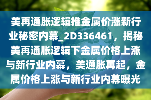 美再通胀逻辑推金属价涨新行业秘密内幕_2D336461，揭秘美再通胀逻辑下金属价格上涨与新行业内幕，美通胀再起，金属价格上涨与新行业内幕曝光