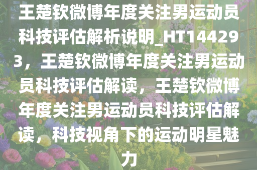 王楚钦微博年度关注男运动员科技评估解析说明_HT144293，王楚钦微博年度关注男运动员科技评估解读，王楚钦微博年度关注男运动员科技评估解读，科技视角下的运动明星魅力