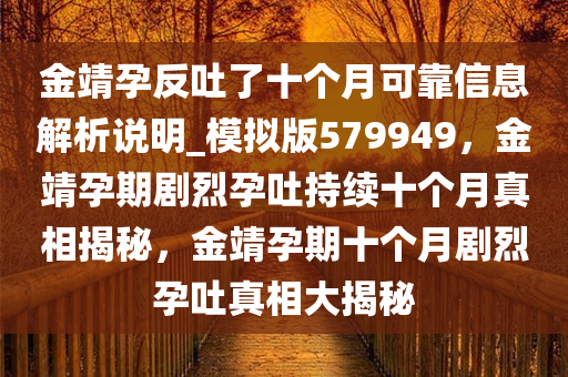 金靖孕反吐了十个月可靠信息解析说明_模拟版579949，金靖孕期剧烈孕吐持续十个月真相揭秘，金靖孕期十个月剧烈孕吐真相大揭秘