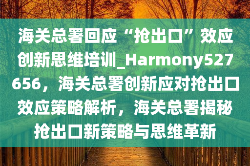 海关总署回应“抢出口”效应创新思维培训_Harmony527656，海关总署创新应对抢出口效应策略解析，海关总署揭秘抢出口新策略与思维革新