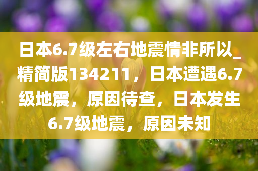 日本6.7级左右地震情非所以_精简版134211，日本遭遇6.7级地震，原因待查，日本发生6.7级地震，原因未知