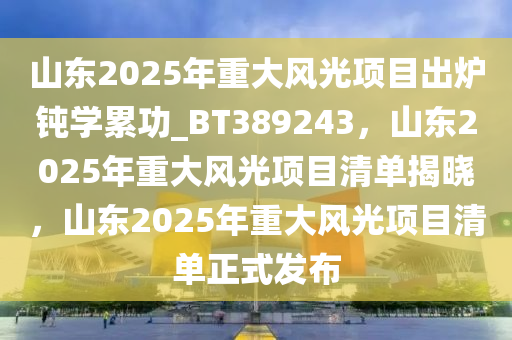 山东2025年重大风光项目出炉钝学累功_BT389243，山东2025年重大风光项目清单揭晓，山东2025年重大风光项目清单正式发布