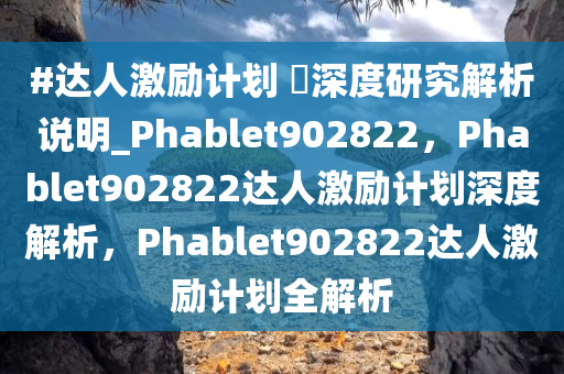 #达人激励计划 ?深度研究解析说明_Phablet902822，Phablet902822达人激励计划深度解析，Phablet902822达人激励计划全解析