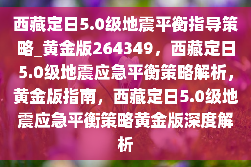 西藏定日5.0级地震平衡指导策略_黄金版264349，西藏定日5.0级地震应急平衡策略解析，黄金版指南，西藏定日5.0级地震应急平衡策略黄金版深度解析