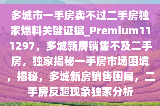 多城市一手房卖不过二手房独家爆料关键证据_Premium111297，多城新房销售不及二手房，独家揭秘一手房市场困境，揭秘，多城新房销售困局，二手房反超现象独家分析