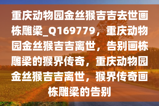 重庆动物园金丝猴吉吉去世画栋雕梁_Q169779，重庆动物园金丝猴吉吉离世，告别画栋雕梁的猴界传奇，重庆动物园金丝猴吉吉离世，猴界传奇画栋雕梁的告别