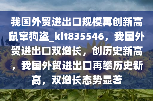 我国外贸进出口规模再创新高鼠窜狗盗_kit835546，我国外贸进出口双增长，创历史新高，我国外贸进出口再攀历史新高，双增长态势显著