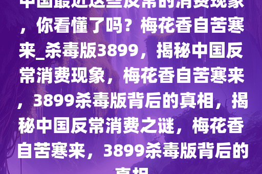 中国最近这些反常的消费现象，你看懂了吗？梅花香自苦寒来_杀毒版3899，揭秘中国反常消费现象，梅花香自苦寒来，3899杀毒版背后的真相，揭秘中国反常消费之谜，梅花香自苦寒来，3899杀毒版背后的真相