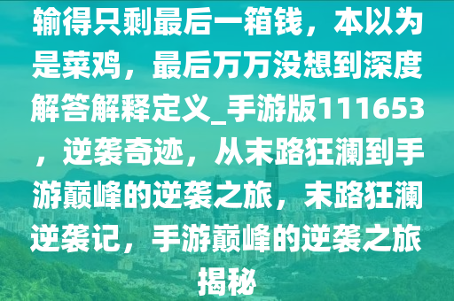 输得只剩最后一箱钱，本以为是菜鸡，最后万万没想到深度解答解释定义_手游版111653，逆袭奇迹，从末路狂澜到手游巅峰的逆袭之旅，末路狂澜逆袭记，手游巅峰的逆袭之旅揭秘