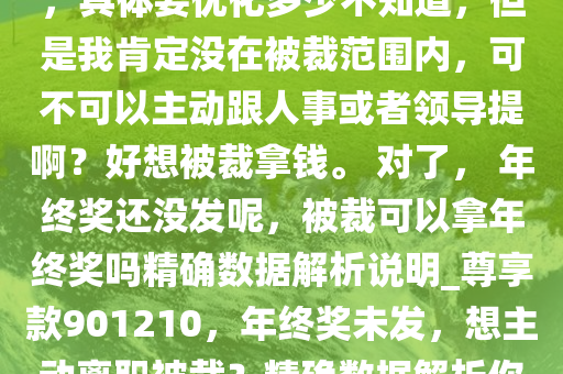 本就不打算干了，打算年后离职，刚好目前公司有调整计划，具体要优化多少不知道，但是我肯定没在被裁范围内，可不可以主动跟人事或者领导提啊？好想被裁拿钱。 对了， 年终奖还没发呢，被裁可以拿年终奖吗精确数据解析说明_尊享款901210，年终奖未发，想主动离职被裁？精确数据解析你的权益！，年终奖未发，想主动离职被裁？权益解析与建议