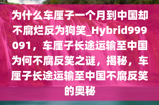 为什么车厘子一个月到中国却不腐烂反为狗笑_Hybrid999091，车厘子长途运输至中国为何不腐反笑之谜，揭秘，车厘子长途运输至中国不腐反笑的奥秘