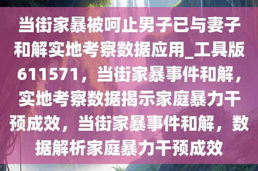 当街家暴被呵止男子已与妻子和解实地考察数据应用_工具版611571，当街家暴事件和解，实地考察数据揭示家庭暴力干预成效，当街家暴事件和解，数据解析家庭暴力干预成效