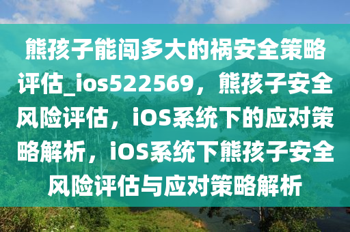 熊孩子能闯多大的祸安全策略评估_ios522569，熊孩子安全风险评估，iOS系统下的应对策略解析，iOS系统下熊孩子安全风险评估与应对策略解析