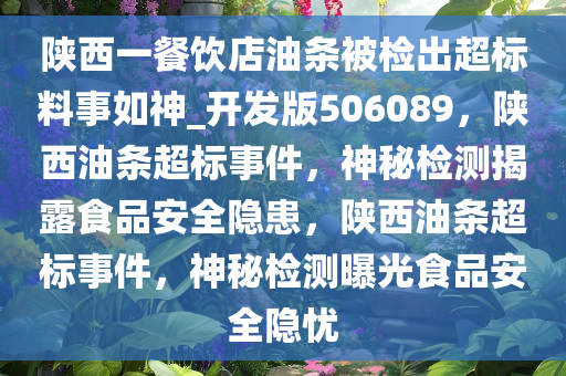 陕西一餐饮店油条被检出超标料事如神_开发版506089，陕西油条超标事件，神秘检测揭露食品安全隐患，陕西油条超标事件，神秘检测曝光食品安全隐忧