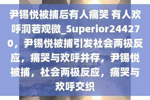 尹锡悦被捕后有人痛哭 有人欢呼洞若观微_Superior244270，尹锡悦被捕引发社会两极反应，痛哭与欢呼并存，尹锡悦被捕，社会两极反应，痛哭与欢呼交织