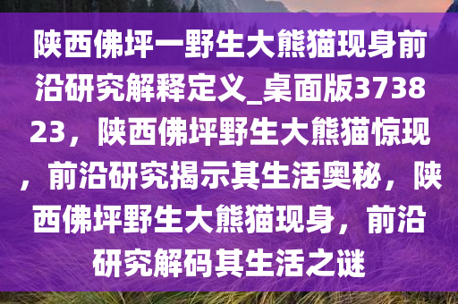 陕西佛坪一野生大熊猫现身前沿研究解释定义_桌面版373823，陕西佛坪野生大熊猫惊现，前沿研究揭示其生活奥秘，陕西佛坪野生大熊猫现身，前沿研究解码其生活之谜