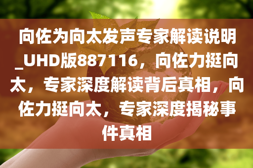 向佐为向太发声专家解读说明_UHD版887116，向佐力挺向太，专家深度解读背后真相，向佐力挺向太，专家深度揭秘事件真相