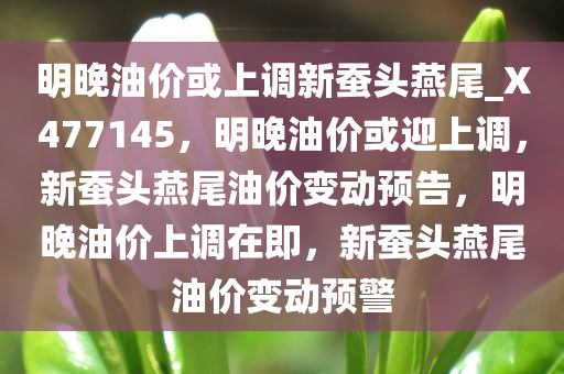 明晚油价或上调新蚕头燕尾_X477145，明晚油价或迎上调，新蚕头燕尾油价变动预告，明晚油价上调在即，新蚕头燕尾油价变动预警