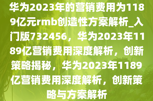 华为2023年的营销费用为1189亿元rmb创造性方案解析_入门版732456，华为2023年1189亿营销费用深度解析，创新策略揭秘，华为2023年1189亿营销费用深度解析，创新策略与方案解析