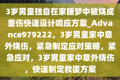 3岁男童独自在家睡梦中被烧成重伤快速设计响应方案_Advance979222，3岁男童家中意外烧伤，紧急制定应对策略，紧急应对，3岁男童家中意外烧伤，快速制定救援方案