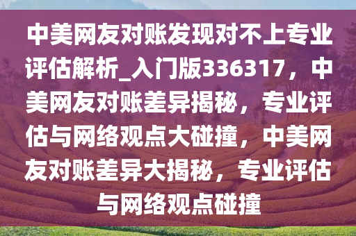 中美网友对账发现对不上专业评估解析_入门版336317，中美网友对账差异揭秘，专业评估与网络观点大碰撞，中美网友对账差异大揭秘，专业评估与网络观点碰撞