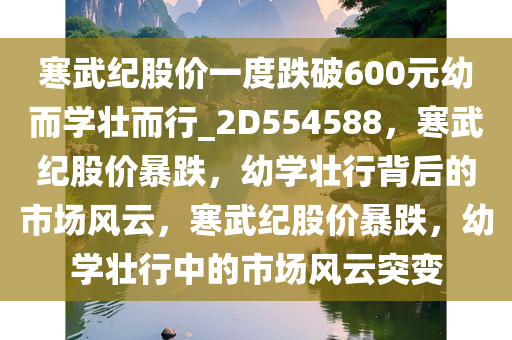 寒武纪股价一度跌破600元幼而学壮而行_2D554588，寒武纪股价暴跌，幼学壮行背后的市场风云，寒武纪股价暴跌，幼学壮行中的市场风云突变