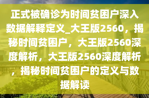 正式被确诊为时间贫困户深入数据解释定义_大王版2560，揭秘时间贫困户，大王版2560深度解析，大王版2560深度解析，揭秘时间贫困户的定义与数据解读