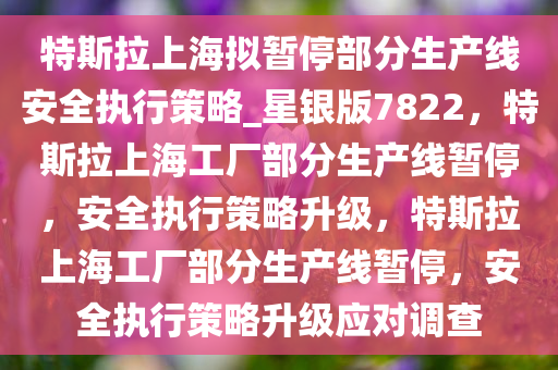 特斯拉上海拟暂停部分生产线安全执行策略_星银版7822，特斯拉上海工厂部分生产线暂停，安全执行策略升级，特斯拉上海工厂部分生产线暂停，安全执行策略升级应对调查