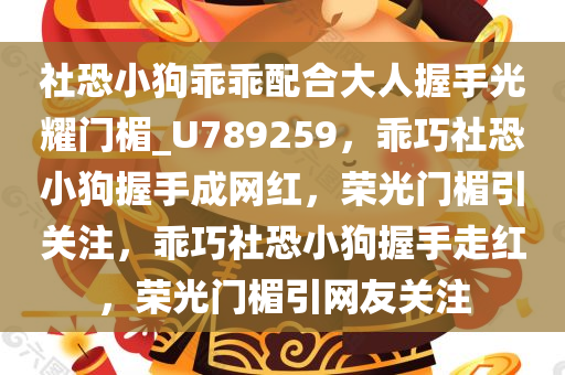 社恐小狗乖乖配合大人握手光耀门楣_U789259，乖巧社恐小狗握手成网红，荣光门楣引关注，乖巧社恐小狗握手走红，荣光门楣引网友关注