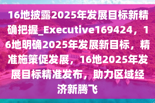 16地披露2025年发展目标新精确把握_Executive169424，16地明确2025年发展新目标，精准施策促发展，16地2025年发展目标精准发布，助力区域经济新腾飞