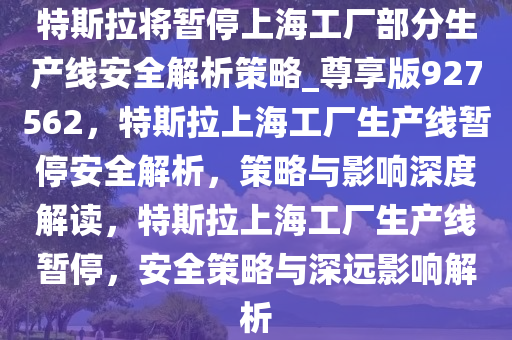 特斯拉将暂停上海工厂部分生产线安全解析策略_尊享版927562，特斯拉上海工厂生产线暂停安全解析，策略与影响深度解读，特斯拉上海工厂生产线暂停，安全策略与深远影响解析