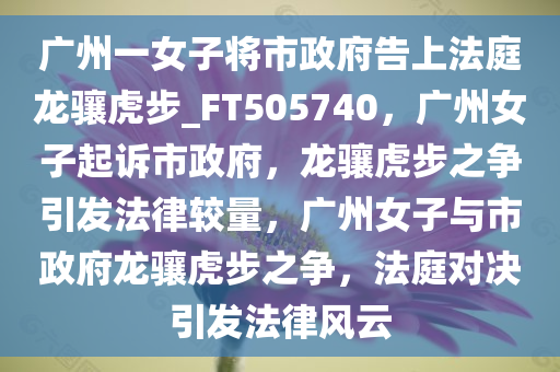 广州一女子将市政府告上法庭龙骧虎步_FT505740，广州女子起诉市政府，龙骧虎步之争引发法律较量，广州女子与市政府龙骧虎步之争，法庭对决引发法律风云