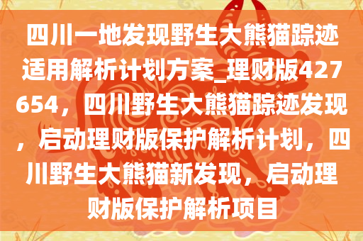 四川一地发现野生大熊猫踪迹适用解析计划方案_理财版427654，四川野生大熊猫踪迹发现，启动理财版保护解析计划，四川野生大熊猫新发现，启动理财版保护解析项目