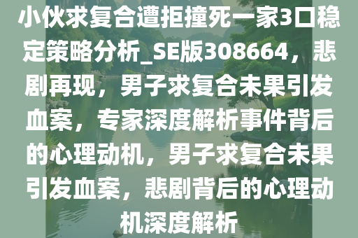 小伙求复合遭拒撞死一家3口稳定策略分析_SE版308664，悲剧再现，男子求复合未果引发血案，专家深度解析事件背后的心理动机，男子求复合未果引发血案，悲剧背后的心理动机深度解析