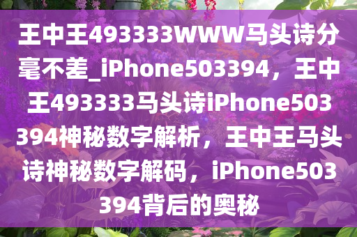 王中王493333WWW马头诗分毫不差_iPhone503394，王中王493333马头诗iPhone503394神秘数字解析，王中王马头诗神秘数字解码，iPhone503394背后的奥秘