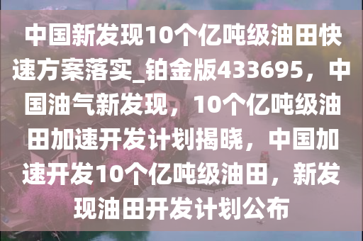 中国新发现10个亿吨级油田快速方案落实_铂金版433695，中国油气新发现，10个亿吨级油田加速开发计划揭晓，中国加速开发10个亿吨级油田，新发现油田开发计划公布