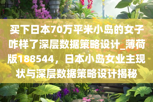 买下日本70万平米小岛的女子咋样了深层数据策略设计_薄荷版188544，日本小岛女业主现状与深层数据策略设计揭秘