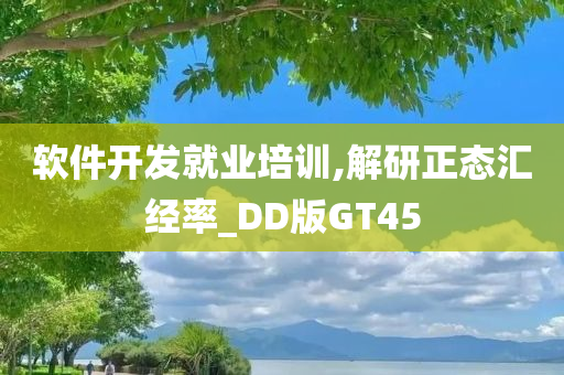 软件开发就业培训,解研正态汇经率_DD版GT45