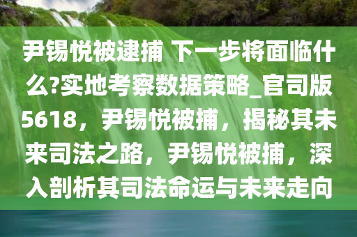 尹锡悦被逮捕 下一步将面临什么?实地考察数据策略_官司版5618，尹锡悦被捕，揭秘其未来司法之路，尹锡悦被捕，深入剖析其司法命运与未来走向