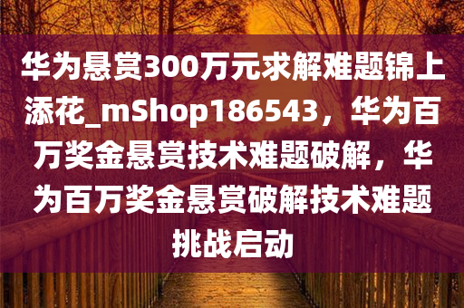 华为悬赏300万元求解难题锦上添花_mShop186543，华为百万奖金悬赏技术难题破解，华为百万奖金悬赏破解技术难题挑战启动