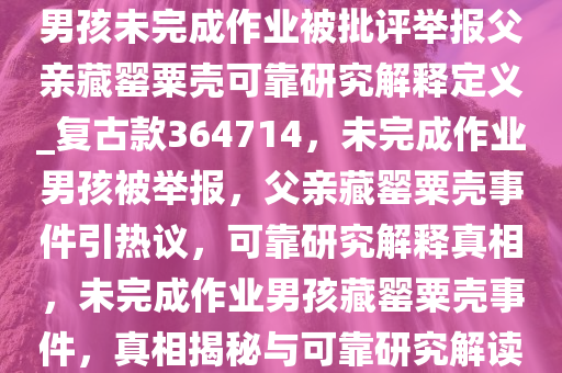 男孩未完成作业被批评举报父亲藏罂粟壳可靠研究解释定义_复古款364714，未完成作业男孩被举报，父亲藏罂粟壳事件引热议，可靠研究解释真相，未完成作业男孩藏罂粟壳事件，真相揭秘与可靠研究解读