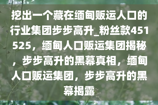 挖出一个藏在缅甸贩运人口的行业集团步步高升_粉丝款451525，缅甸人口贩运集团揭秘，步步高升的黑幕真相，缅甸人口贩运集团，步步高升的黑幕揭露