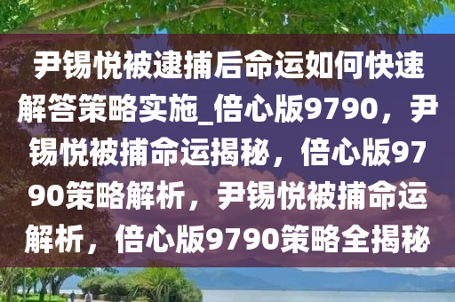 尹锡悦被逮捕后命运如何快速解答策略实施_倍心版9790，尹锡悦被捕命运揭秘，倍心版9790策略解析，尹锡悦被捕命运解析，倍心版9790策略全揭秘