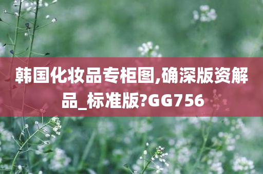 韩国化妆品专柜图,确深版资解品_标准版?GG756