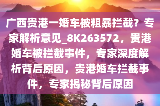 广西贵港一婚车被粗暴拦截？专家解析意见_8K263572，贵港婚车被拦截事件，专家深度解析背后原因，贵港婚车拦截事件，专家揭秘背后原因