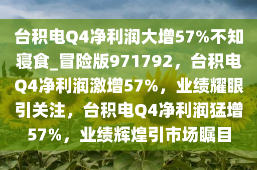 台积电Q4净利润大增57%不知寝食_冒险版971792，台积电Q4净利润激增57%，业绩耀眼引关注，台积电Q4净利润猛增57%，业绩辉煌引市场瞩目