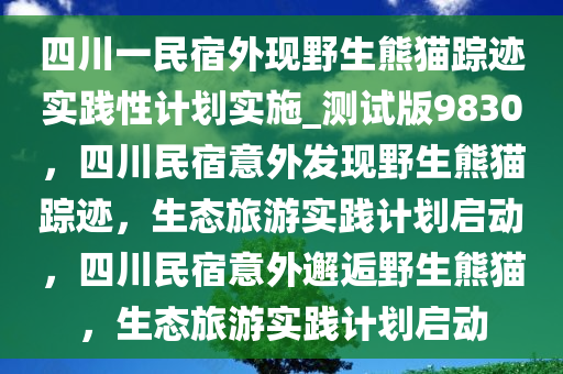 四川一民宿外现野生熊猫踪迹实践性计划实施_测试版9830，四川民宿意外发现野生熊猫踪迹，生态旅游实践计划启动，四川民宿意外邂逅野生熊猫，生态旅游实践计划启动